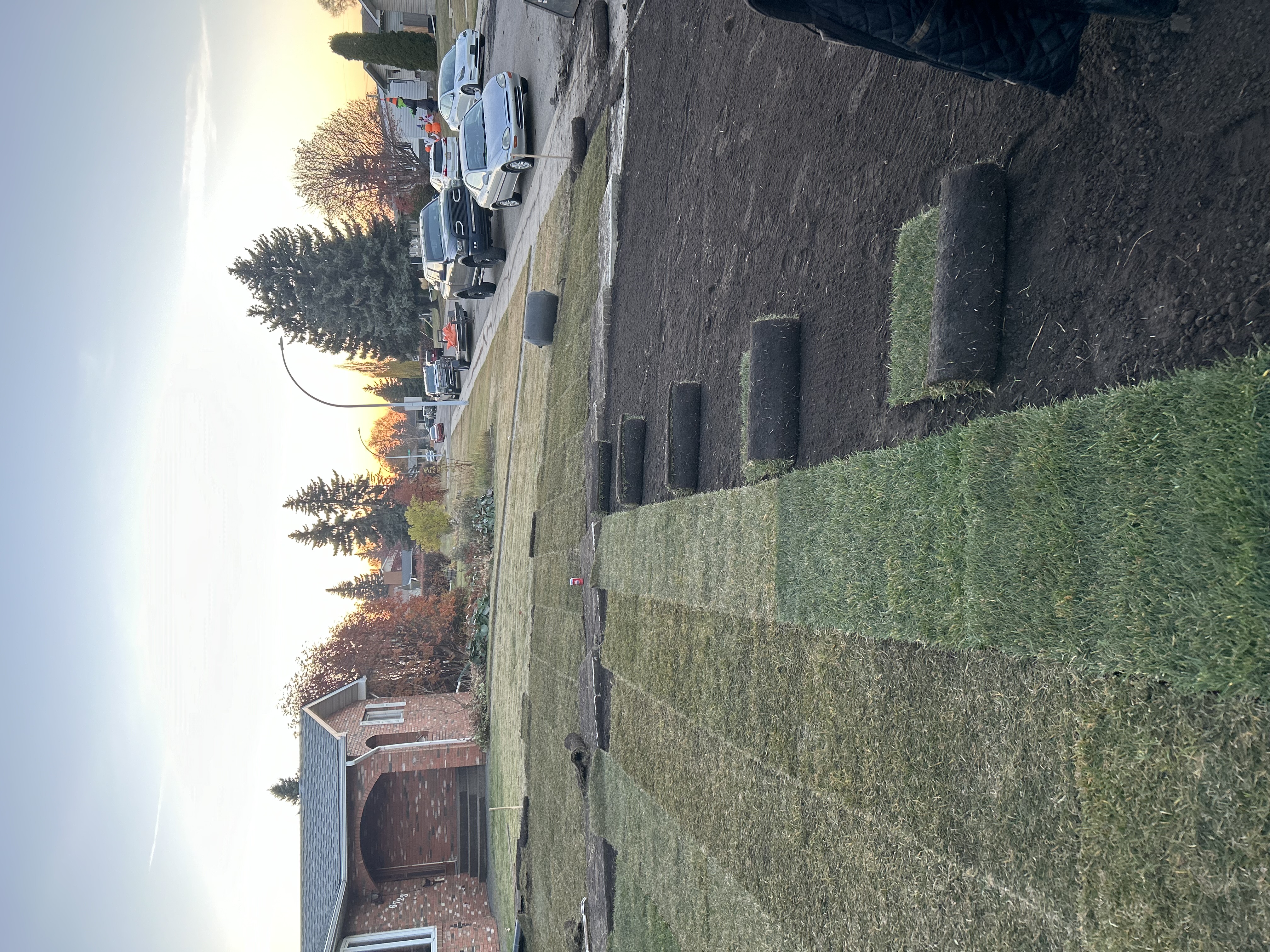 Complete outdoor landscaping transformation